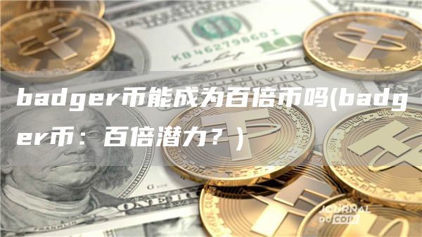 badgr币能成为百倍币吗 - badgr币：百倍潜力？